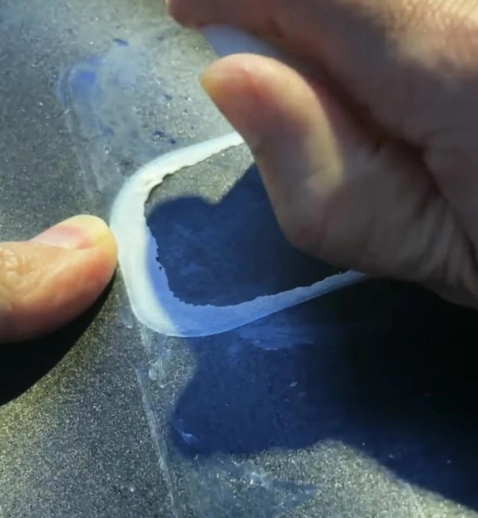 IMG_8962.jpg?type=w1