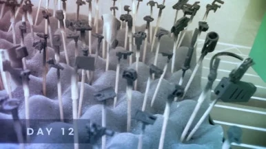 IMG%EF%BC%BF5580.jpg?type=w386