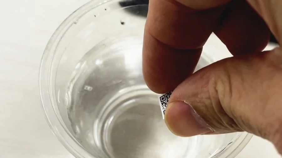 IMG_8346.jpg?type=w1