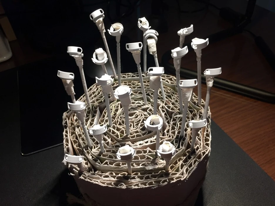 IMG_3012.jpg?type=w1