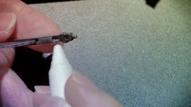 IMG_3163.jpg?type=w386