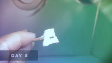 IMG%EF%BC%BF5761.jpg?type=w386