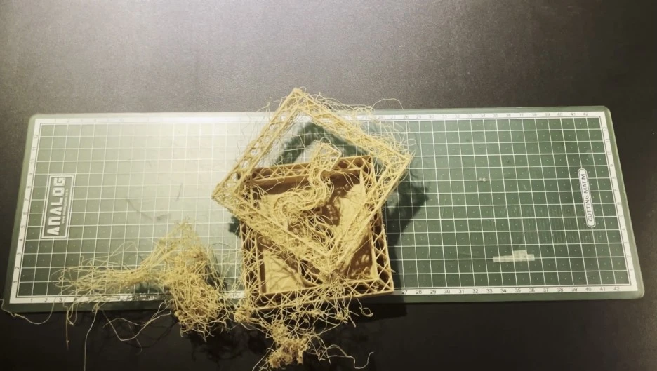 IMG_4141.jpg?type=w1