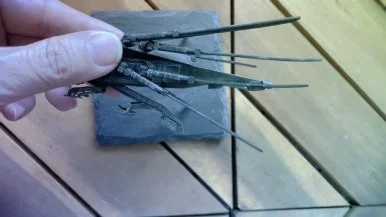 IMG_3178.jpg?type=w386