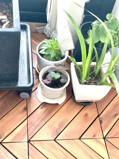 IMG_1479.JPG?type=w386