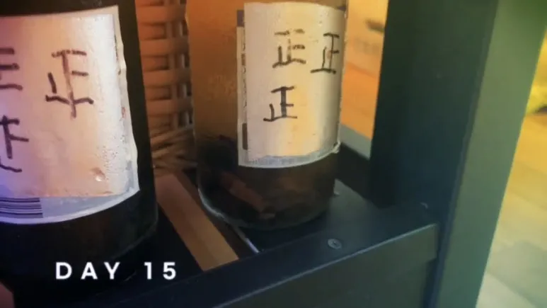 IMG_2247.jpg?type=w773