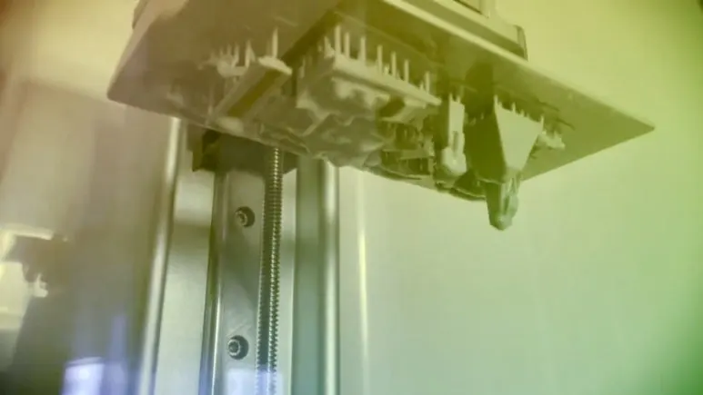 IMG_3112.jpg?type=w773