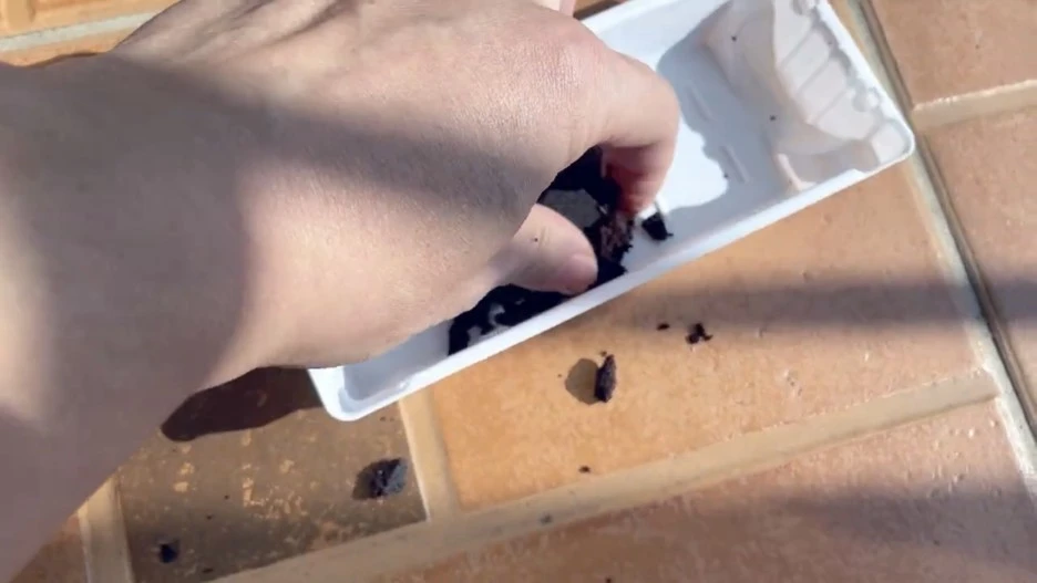 IMG_5587.jpg?type=w1