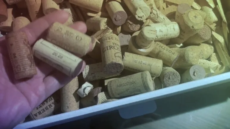 IMG_3744.jpg?type=w773