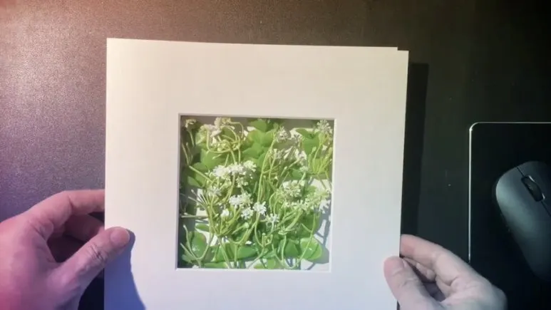 IMG_1787.jpg?type=w773