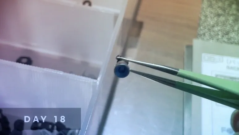 IMG%EF%BC%BF5594.jpg?type=w773