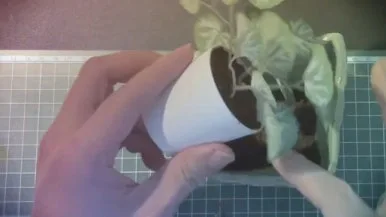 IMG_3390.jpg?type=w386