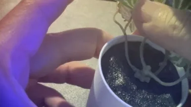 IMG_3389.jpg?type=w386