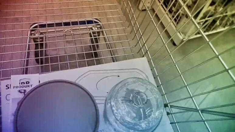 IMG_2401.jpg?type=w773