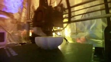 IMG_1035.jpg?type=w386