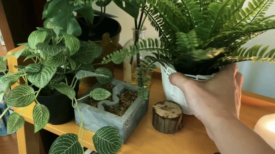 IMG_8733.jpg?type=w1