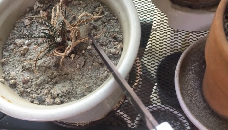 IMG_4392.jpg?type=w1