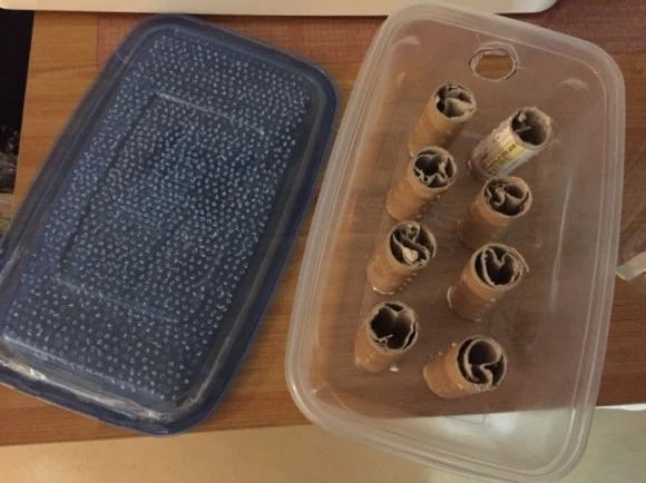 IMG_4207.jpg?type=w580