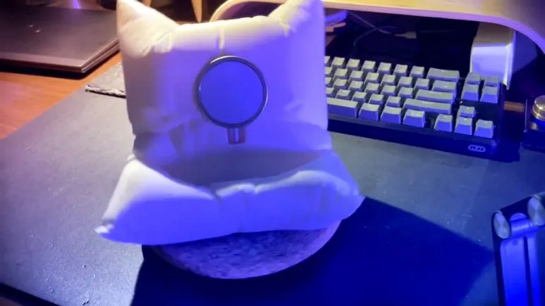 IMG_2066.jpg?type=w773