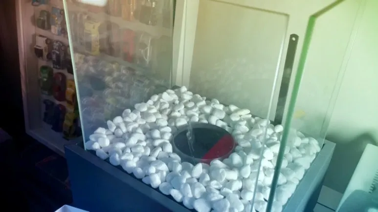 IMG_3388.jpg?type=w773