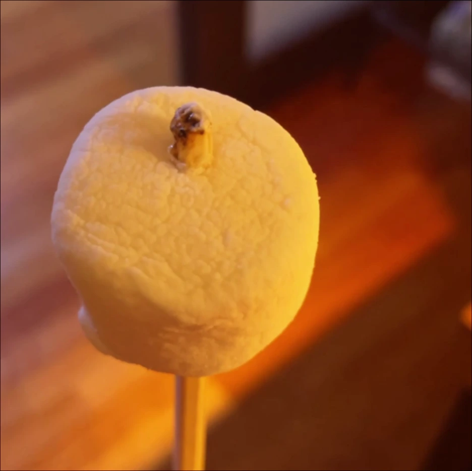 Marshmallow_Machine.mp4_000021833.png?type=w1