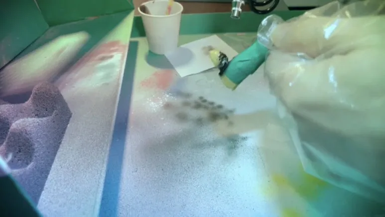 IMG_3864.jpg?type=w773