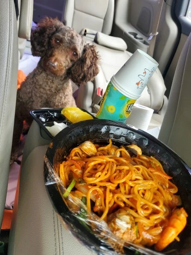 KakaoTalk_20230821_065500267_11.jpg?type=w386