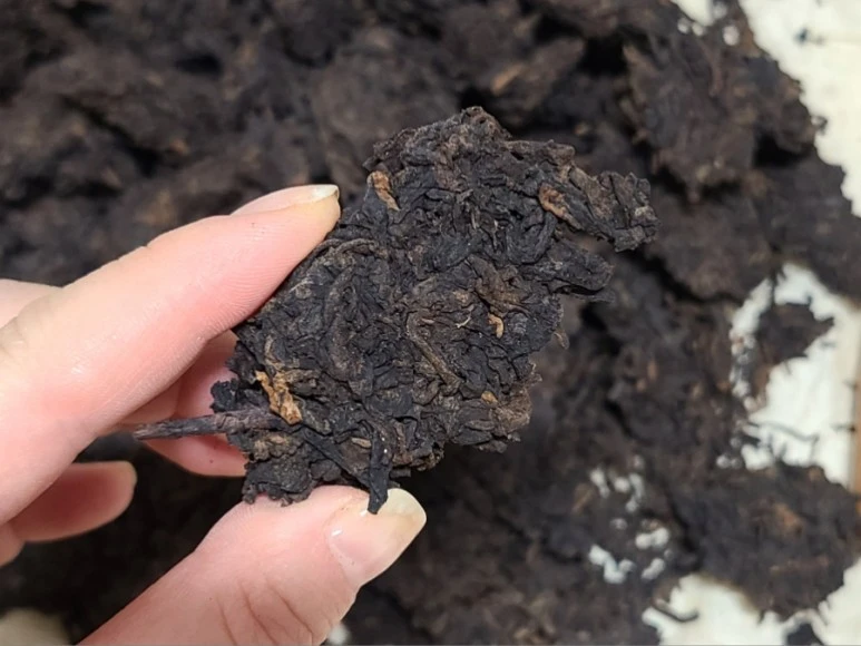 20210629%EF%BC%BF201914.jpg?type=w773