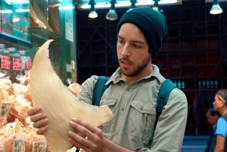 넷플릭스_추천_씨스피라시_(4).jfif