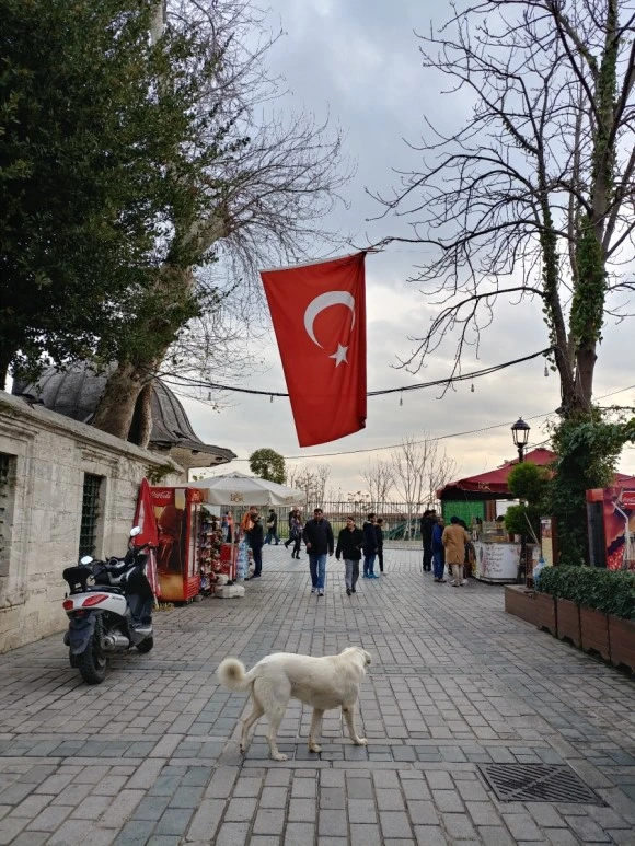 20171230_124104_HDR.jpg?type=w580