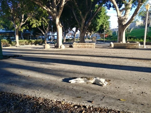 20171227_153958_HDR.jpg?type=w580