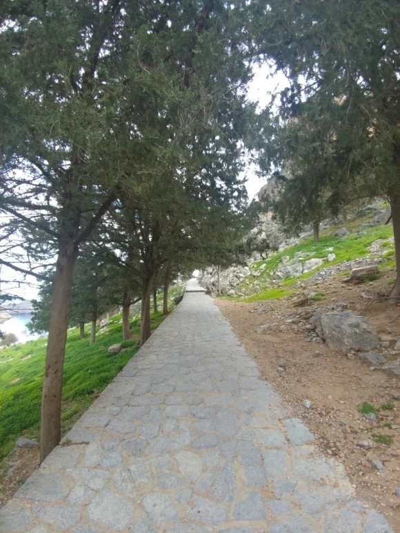 20171226_130237.jpg?type=w580