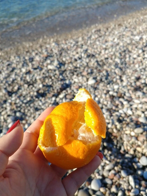 20171227_144526.jpg?type=w580