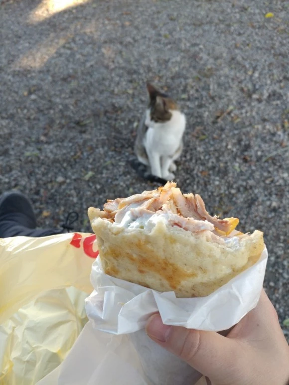 20171227_152547.jpg?type=w580