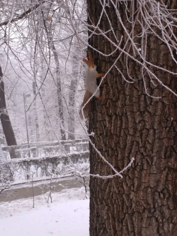 20171231_102100.jpg?type=w580