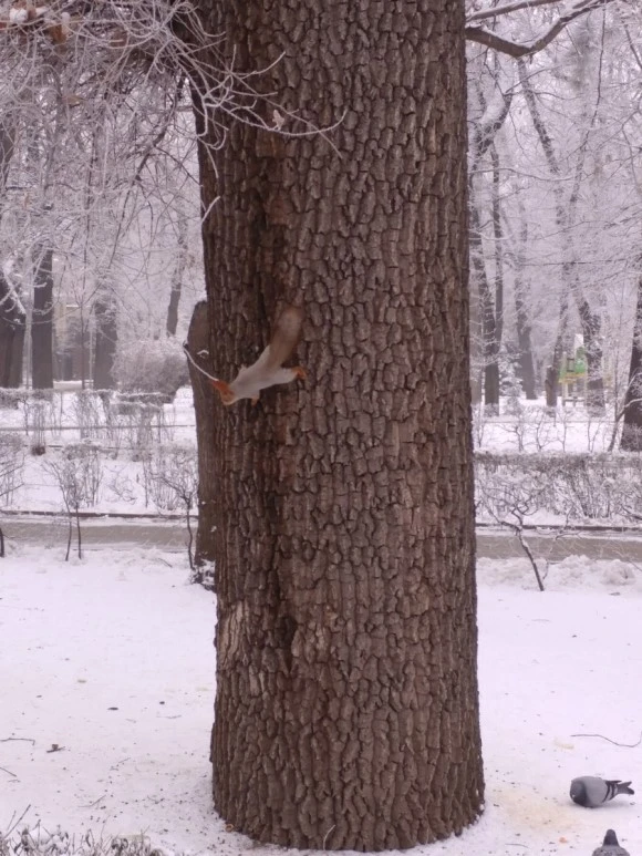 20171231_102046.jpg?type=w580