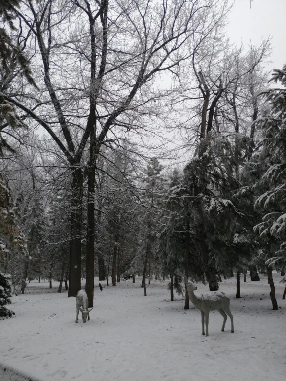 20171231_101734.jpg?type=w580