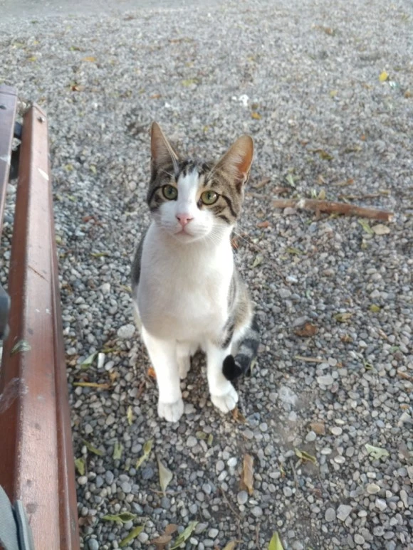 20171227_152533.jpg?type=w580