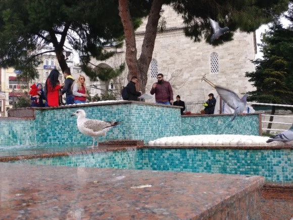 20171230_130840.jpg?type=w580