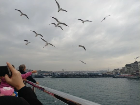 20171230_143317.jpg?type=w580