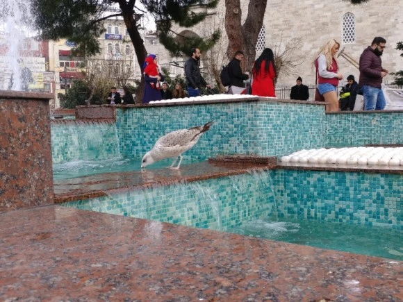 20171230_130844.jpg?type=w580