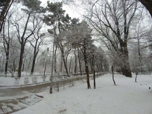 20171231_102134.jpg?type=w580