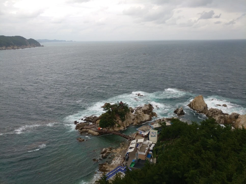 20210814_160302.jpg?type=w966