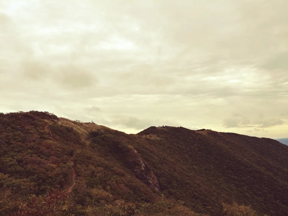 20210915_015149_HDR.jpg?type=w966