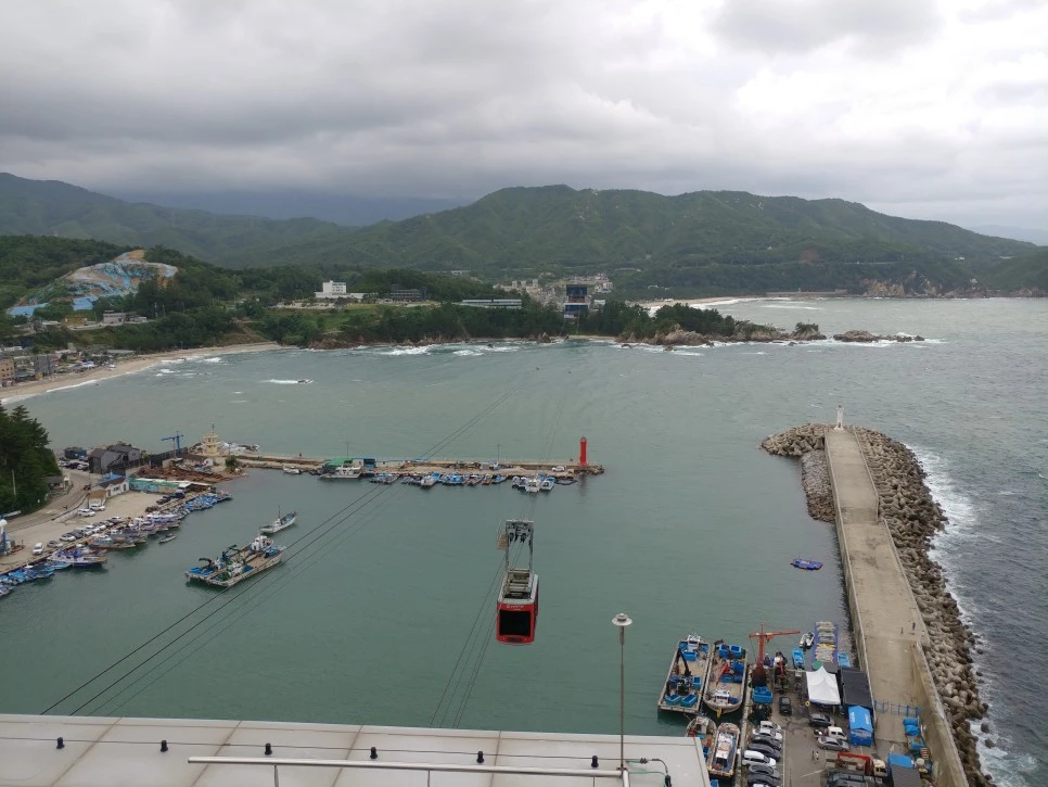 20210814_160247.jpg?type=w966