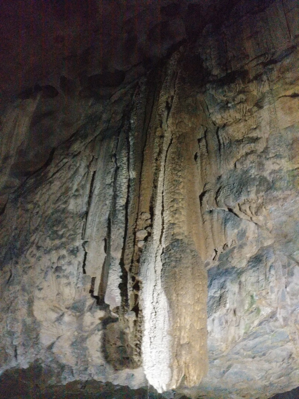 20210814_123210.jpg?type=w966