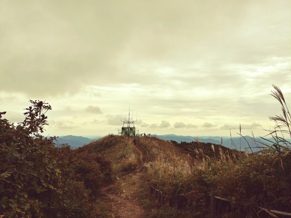 20210915_010240_HDR.jpg?type=w966