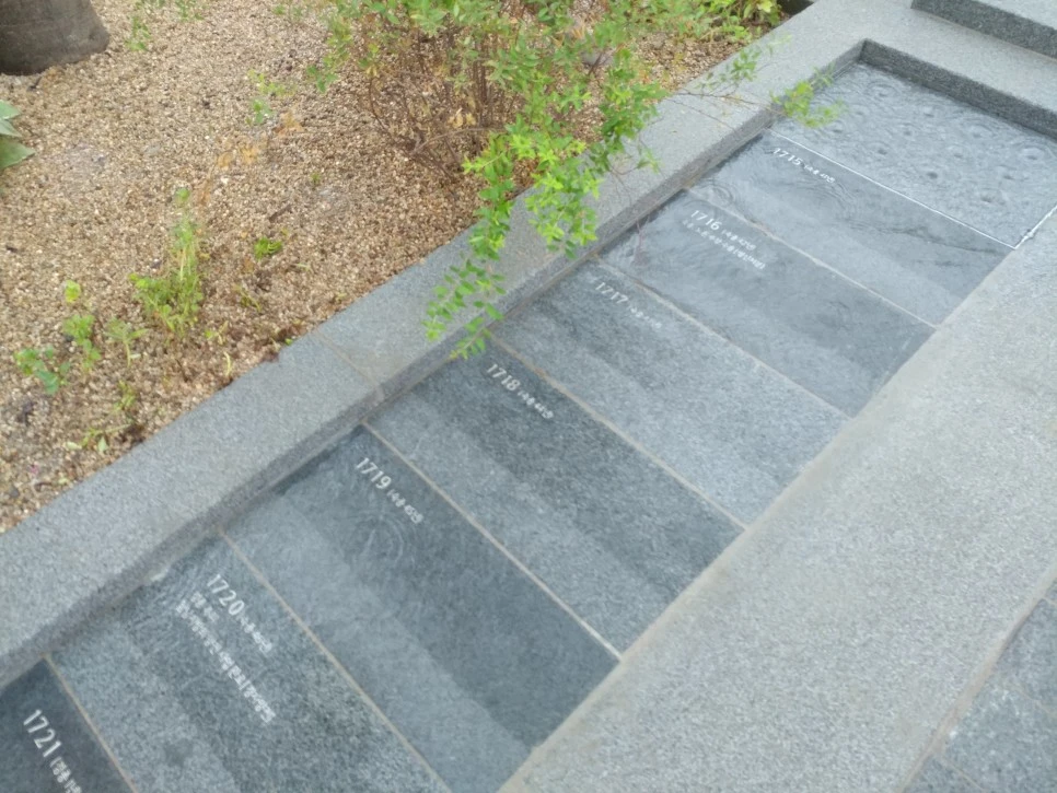 20220808_115151.jpg?type=w966