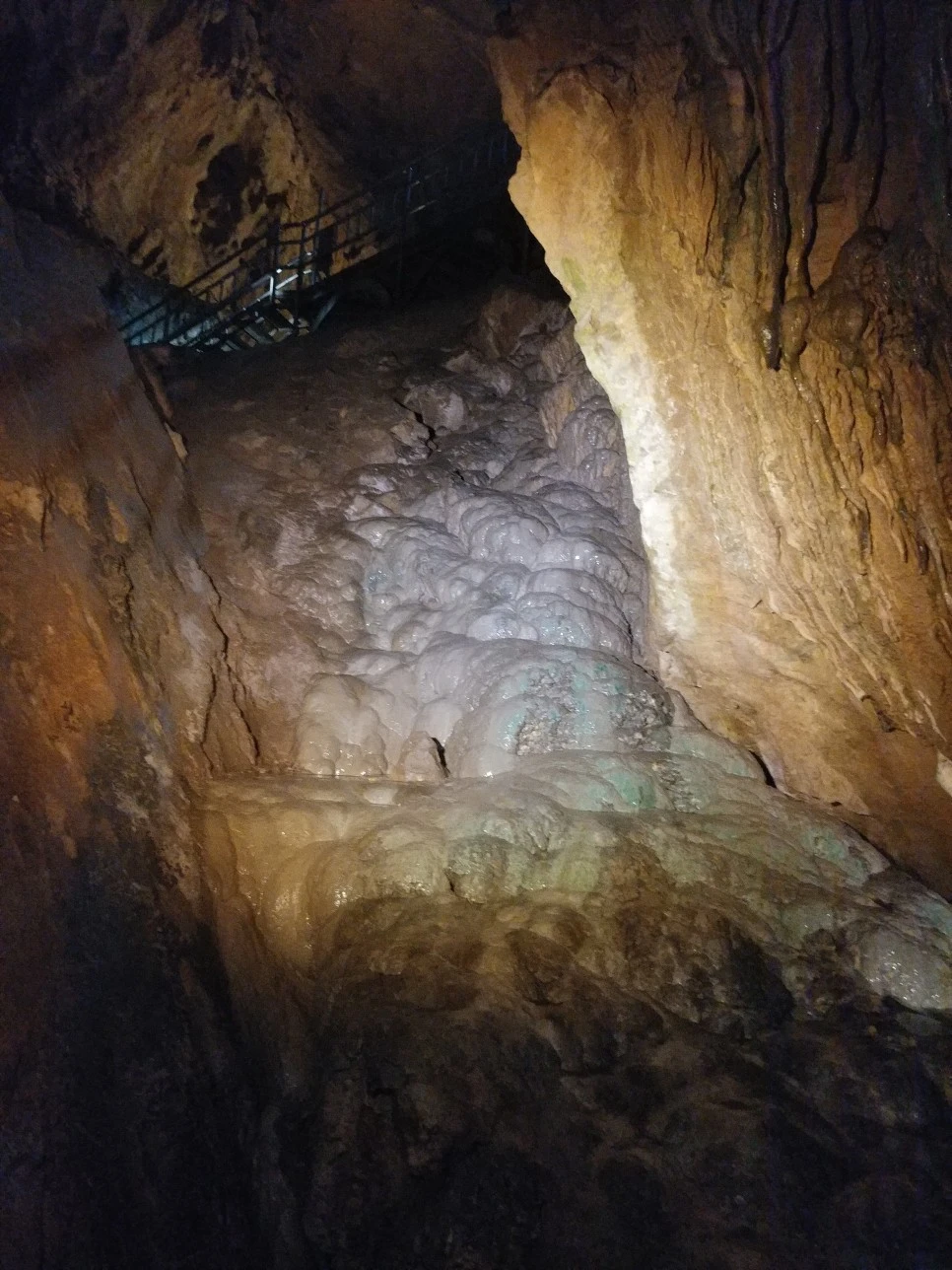 20210814_125617.jpg?type=w966