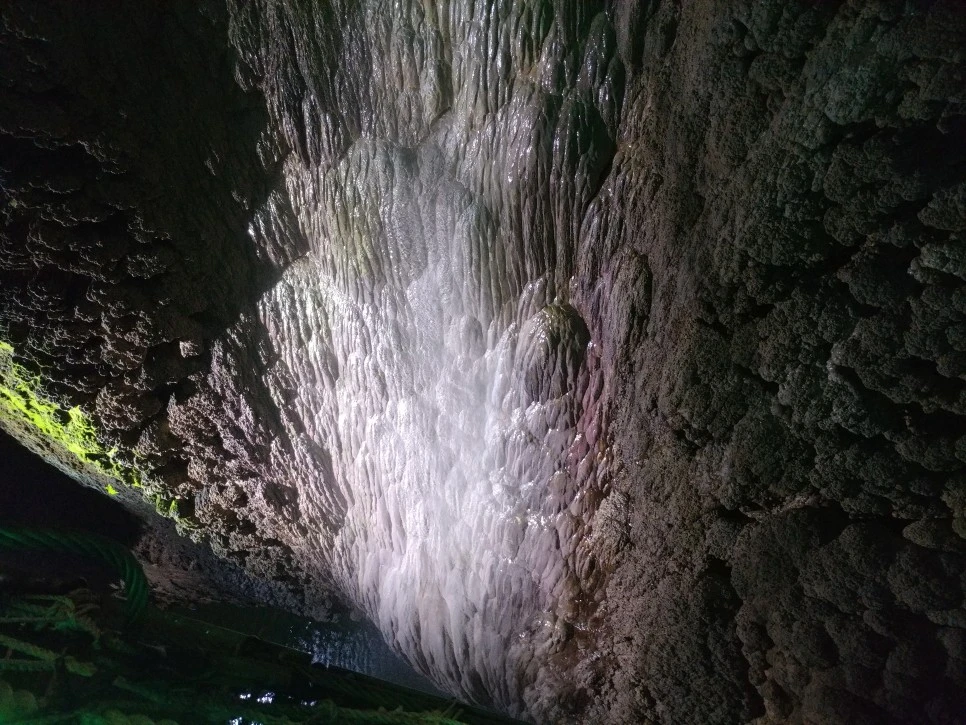 20210814_124531.jpg?type=w966